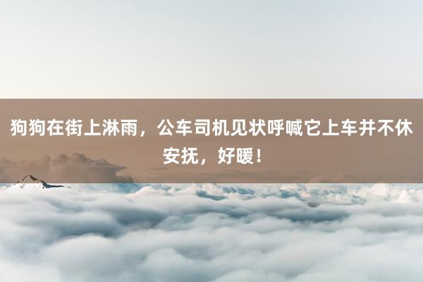 狗狗在街上淋雨，公车司机见状呼喊它上车并不休安抚，好暖！