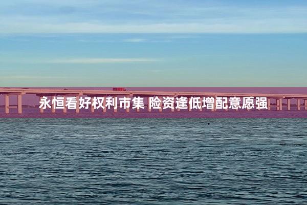 永恒看好权利市集 险资逢低增配意愿强