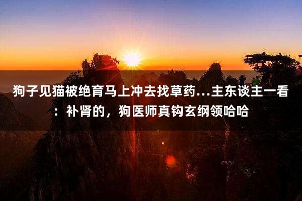 狗子见猫被绝育马上冲去找草药…主东谈主一看：补肾的，狗医师真钩玄纲领哈哈
