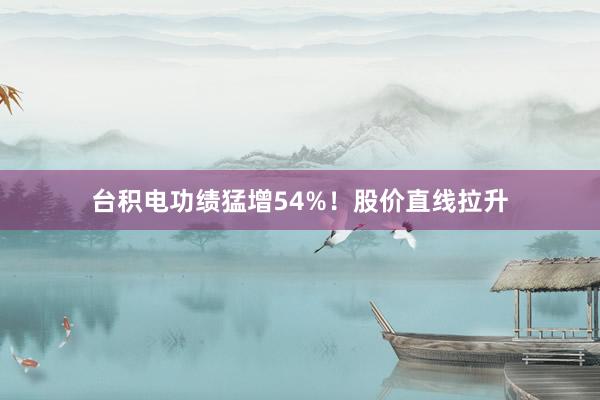 台积电功绩猛增54%！股价直线拉升