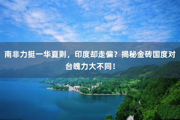 南非力挺一华夏则，印度却走偏？揭秘金砖国度对台魄力大不同！