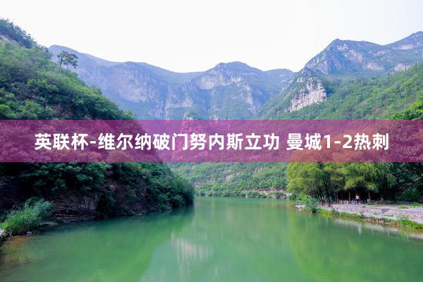 英联杯-维尔纳破门努内斯立功 曼城1-2热刺