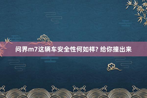问界m7这辆车安全性何如样? 给你撞出来
