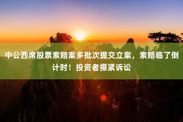 中公西席股票索赔案多批次提交立案，索赔临了倒计时！投资者攥紧诉讼