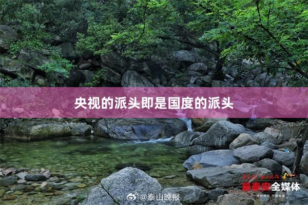 央视的派头即是国度的派头