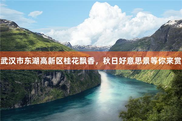 武汉市东湖高新区桂花飘香，秋日好意思景等你来赏