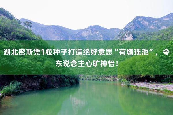 湖北密斯凭1粒种子打造绝好意思“荷塘瑶池”，令东说念主心旷神怡！