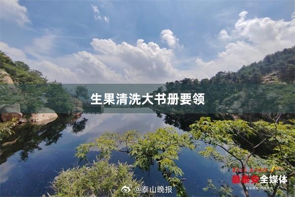 生果清洗大书册要领