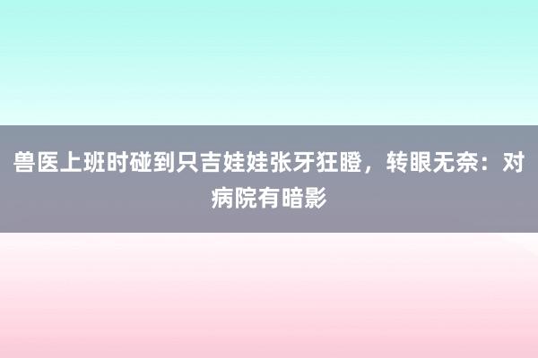 兽医上班时碰到只吉娃娃张牙狂瞪，转眼无奈：对病院有暗影