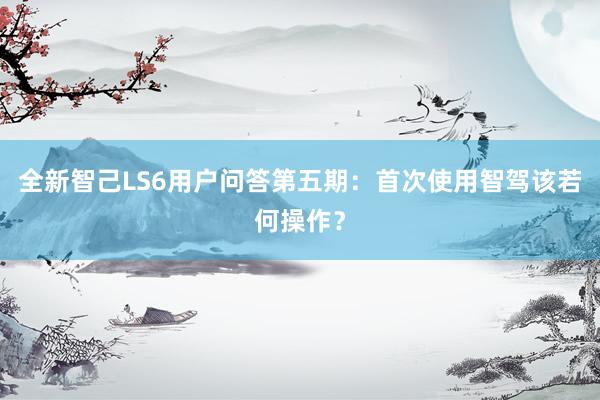 全新智己LS6用户问答第五期：首次使用智驾该若何操作？